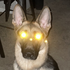 Ghost machine.mp3