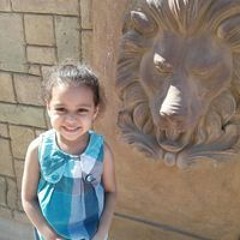 Nesma Moataz