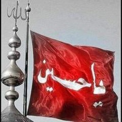 Zakir Ali