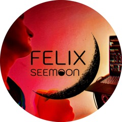 Singing Disturbed - Cellar (Felix Seemoon Remix)