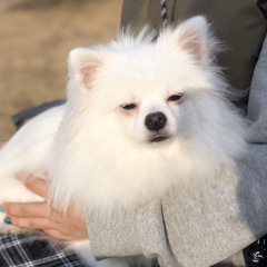 Hezy Kim
