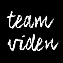 team viden