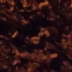 alle