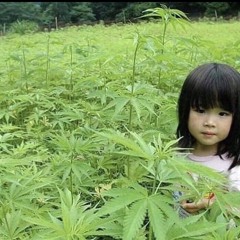user 4.20