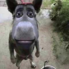 ?