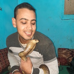 عمرو ابو زياد