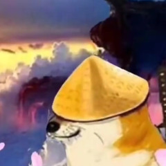 Hammyiscool