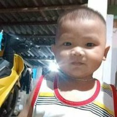 Hải Đường