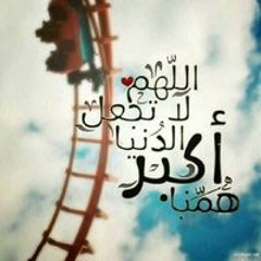 نور شاهين