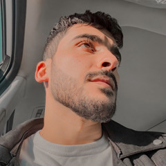 zed pasha