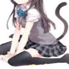 🐱