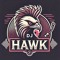 DJ Hawk