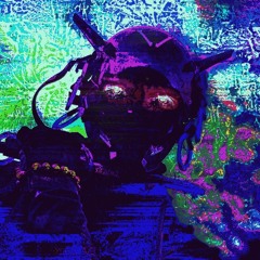 NEURALDELVER M.