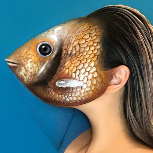 Stream fish with eyelids music | Listen to songs, albums, playlists for ...