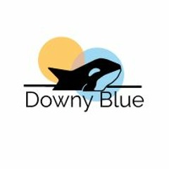 Downy Blue Records