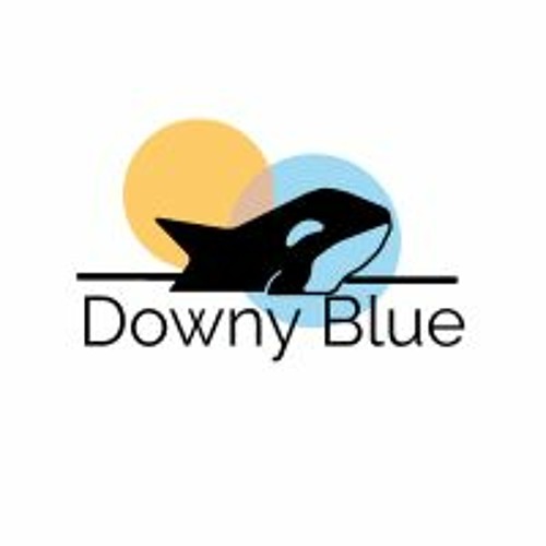 Downy Blue Records’s avatar