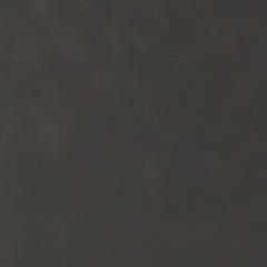 roro0o