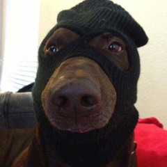 Up Dog