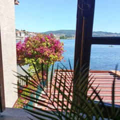 eriksito(read bio)I follow back