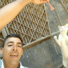 User usama usama fayez