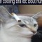 poggers