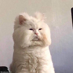 꾸