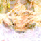 Coleslaw
