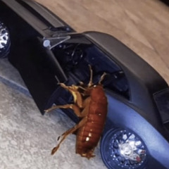 yourmilfmom’sdotcoms