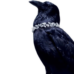 crow