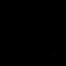 NOIZYGENT