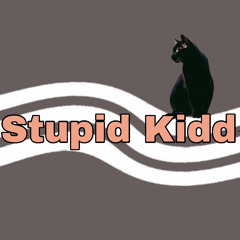 •~Stupid kidd~•