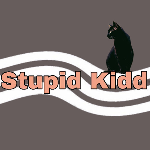 •~Stupid kidd~•’s avatar