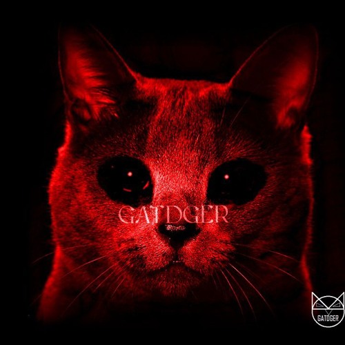 GATDGER