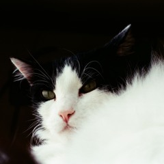 Rocío de la Mañana