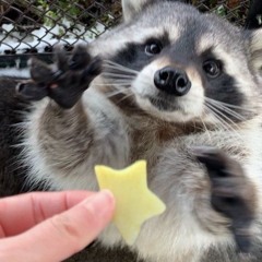 aware (scraps)