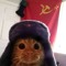 aka.shynkov