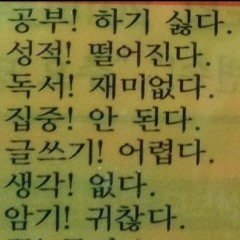 정윰