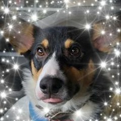 Stephanie M Curry-White