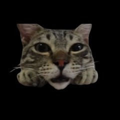 aj