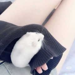ٴٴٴٴٴ
