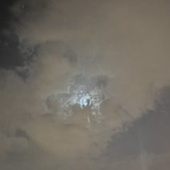boali_12