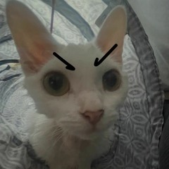 koorkate