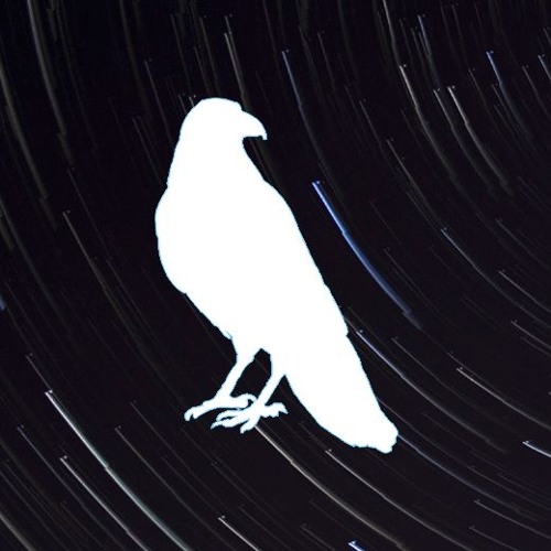 Wildcrow artist photo