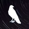 Wildcrow