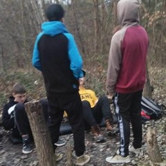 husis