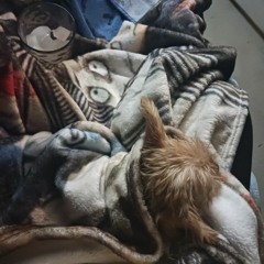 ♡I love my bff Reagan♡