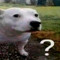 huh?