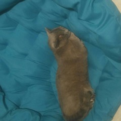 Tater Tots - Angel's Song Cover (Instrumental) (original)