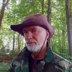 Der Cholerische Tanz Des Melancholikers