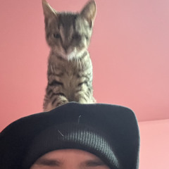 alexfgskd